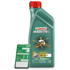 1 L Magnatec 5W-30 DX + Ölwechsel-Anhänger 15C31F